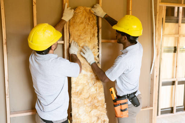 Best Local Insulation Services  in Monroe Manor, NJ